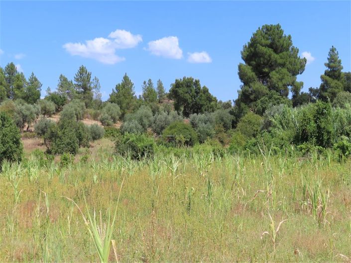 Image No.28-Property for sale