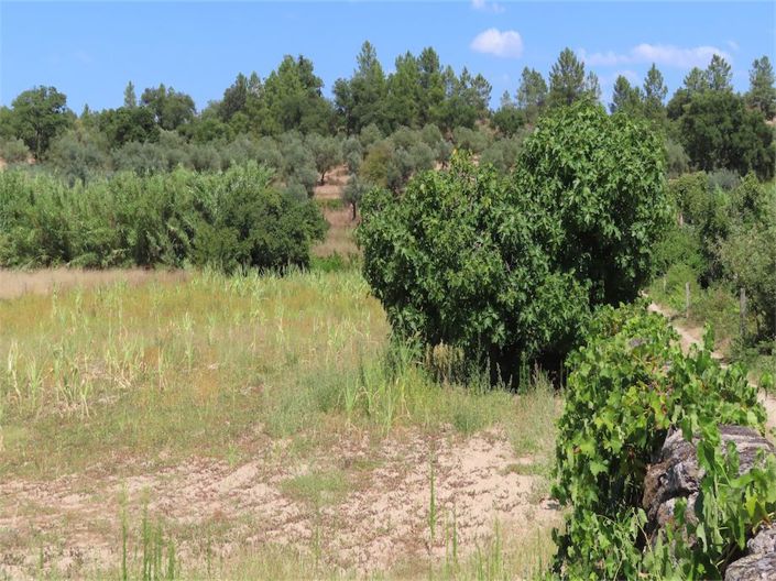 Image No.36-Property for sale