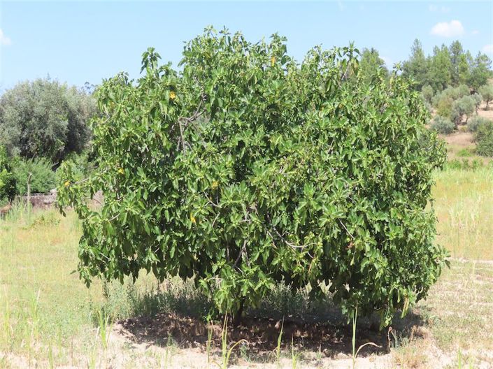 Image No.37-Property for sale