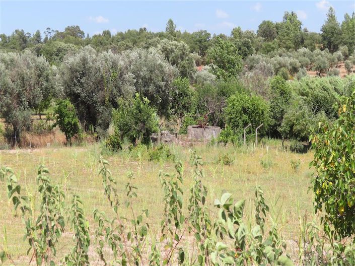 Image No.8-Property for sale