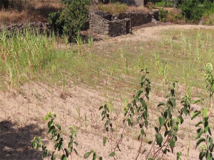 Image No.9-Property for sale