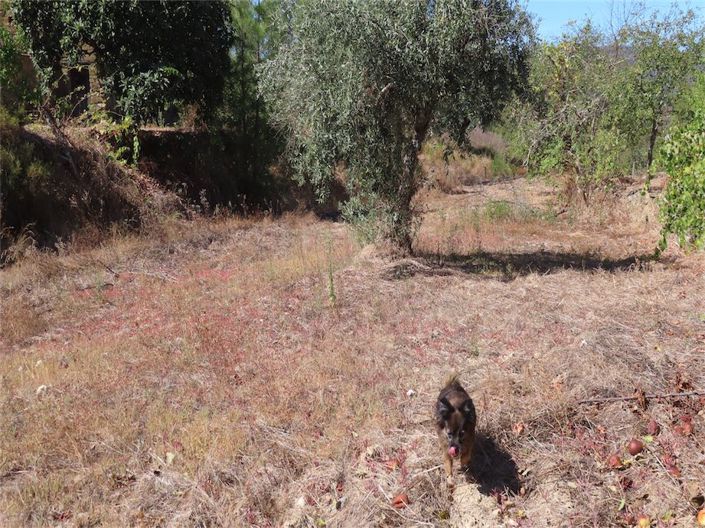 Image No.12-3 Bed Property for sale