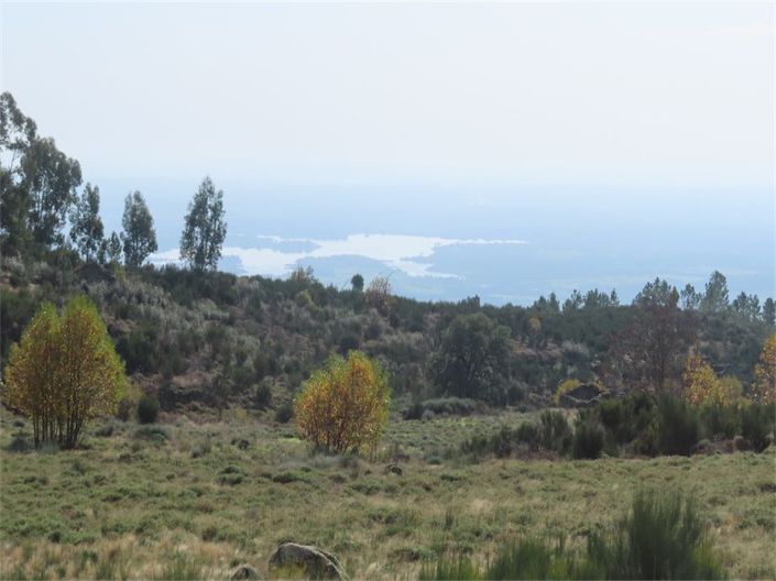 Image No.14-Property for sale