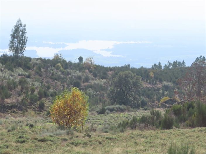 Image No.17-Property for sale