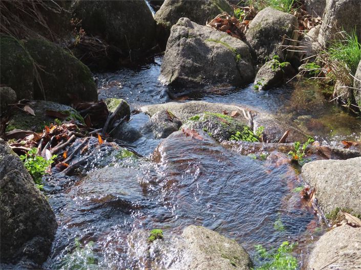 Image No.2-Property for sale