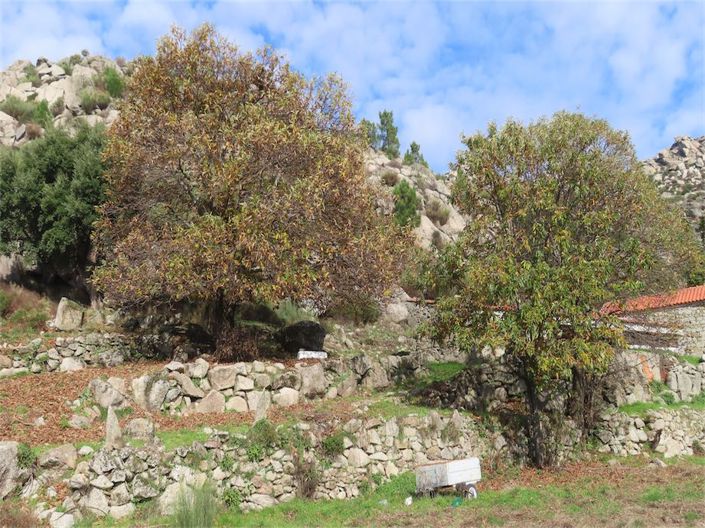 Image No.22-Property for sale