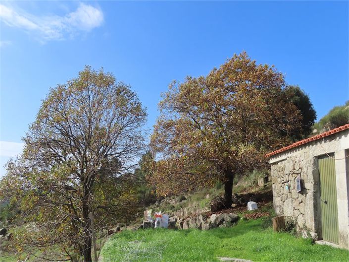 Image No.28-Property for sale