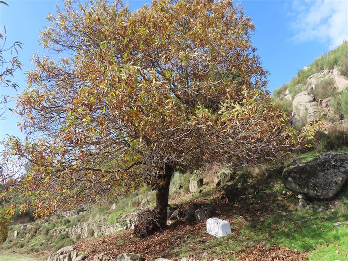 Image No.29-Property for sale