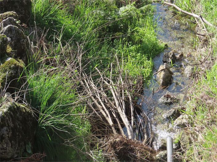 Image No.4-Property for sale