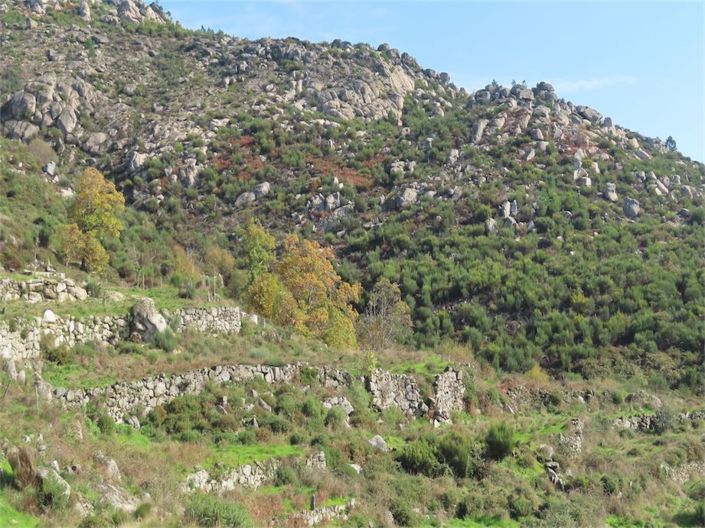 Image No.42-Property for sale