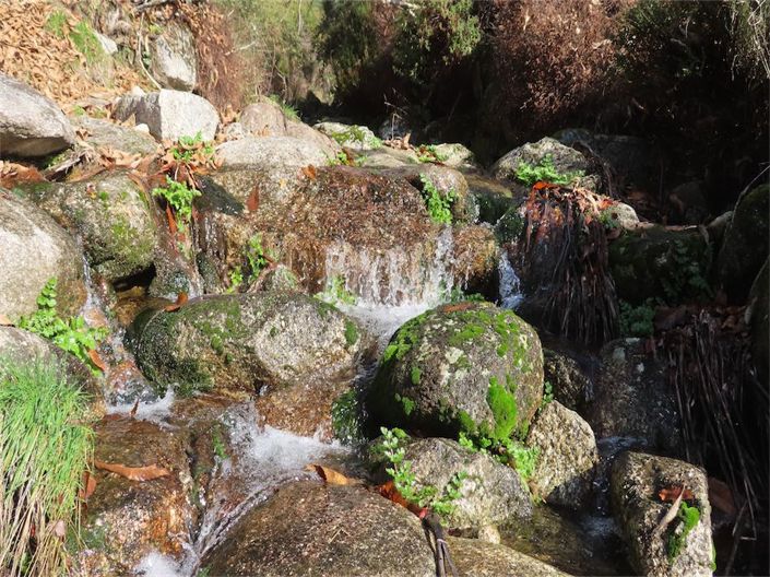 Image No.8-Property for sale