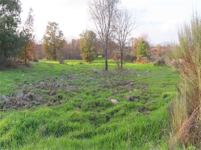 Image No.1-Property for sale