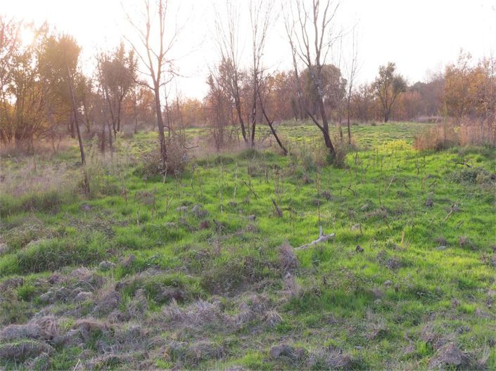 Image No.23-Property for sale