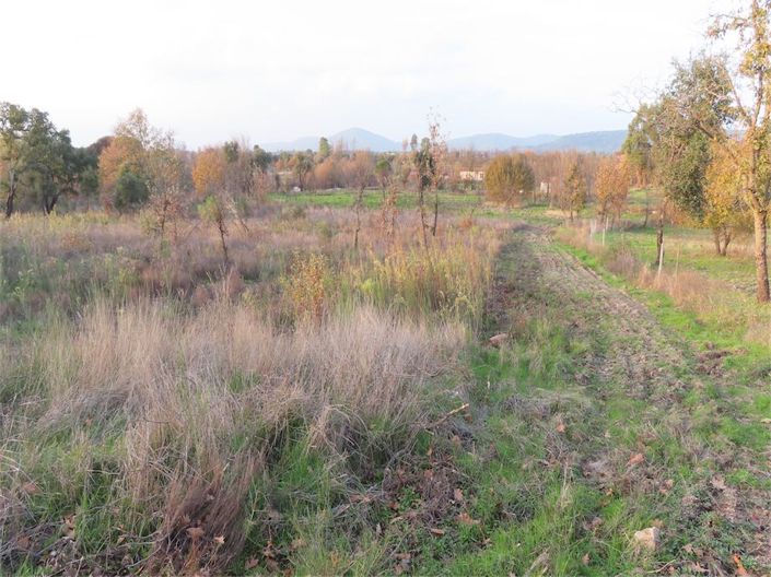 Image No.32-Property for sale