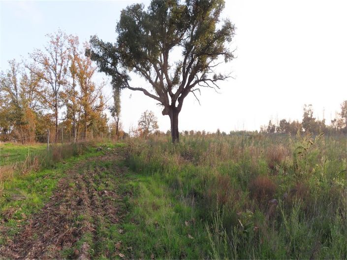 Image No.33-Property for sale