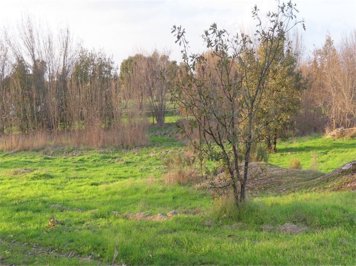 Image No.6-Property for sale