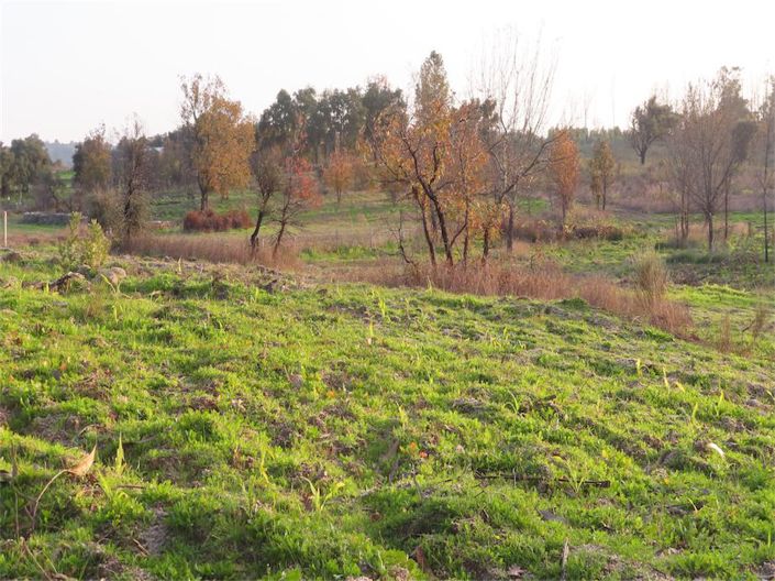 Image No.8-Property for sale