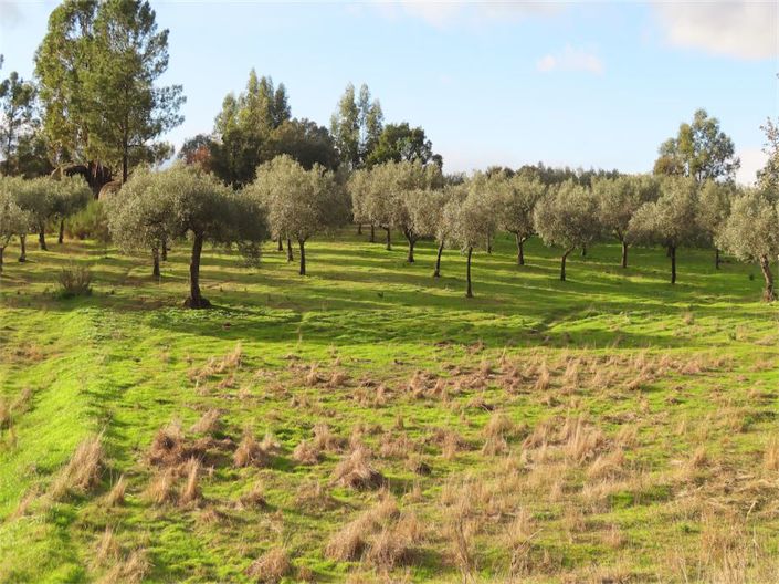 Image No.22-Property for sale