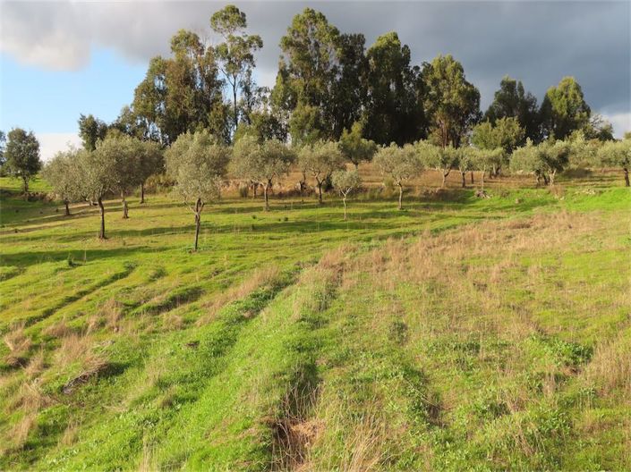 Image No.23-Property for sale