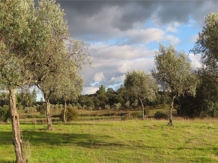 Image No.25-Property for sale