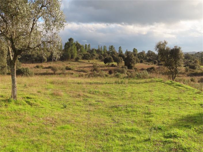 Image No.26-Property for sale