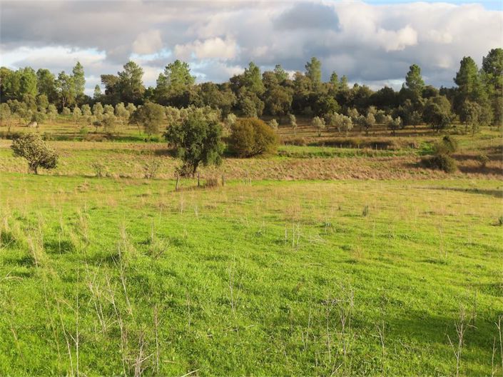 Image No.28-Property for sale