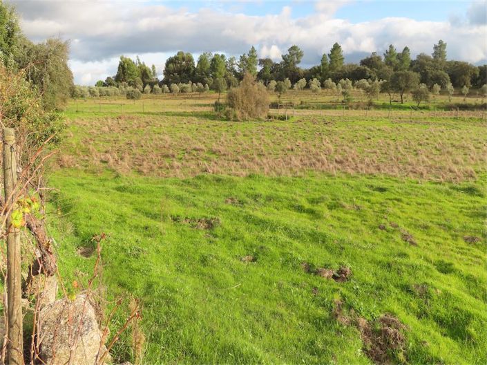 Image No.3-Property for sale