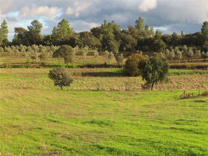 Image No.31-Property for sale