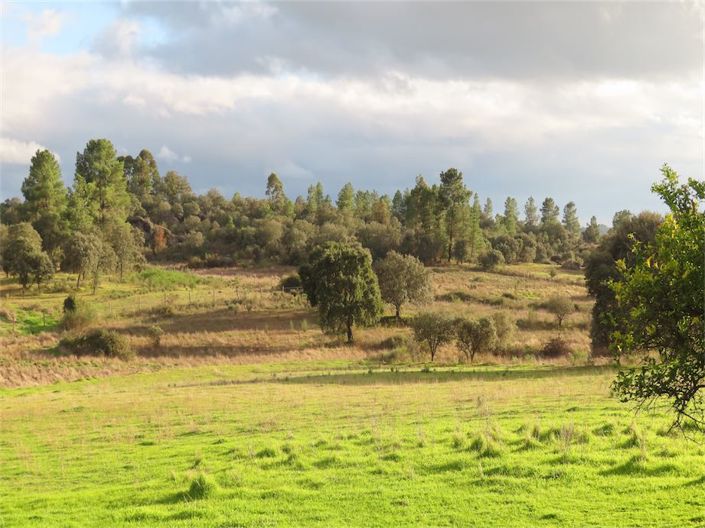 Image No.32-Property for sale