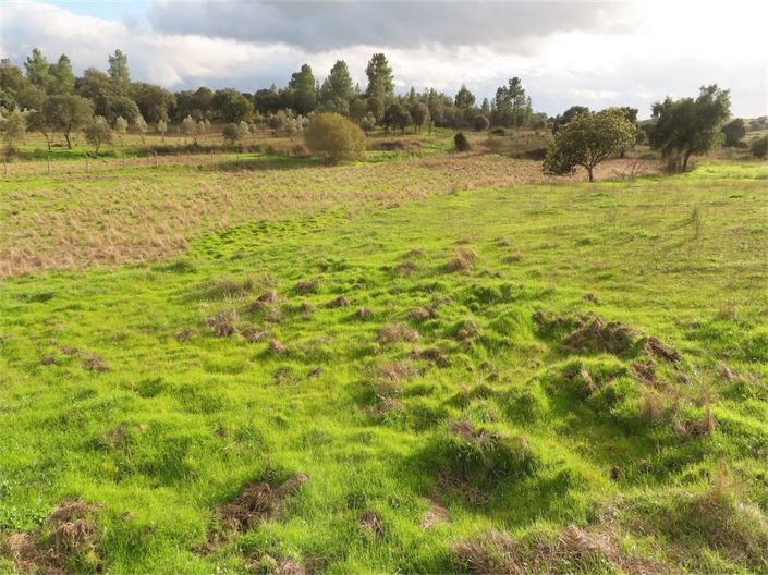 Image No.4-Property for sale