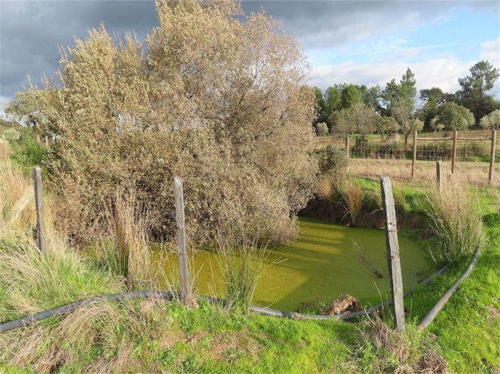 Image No.7-Property for sale