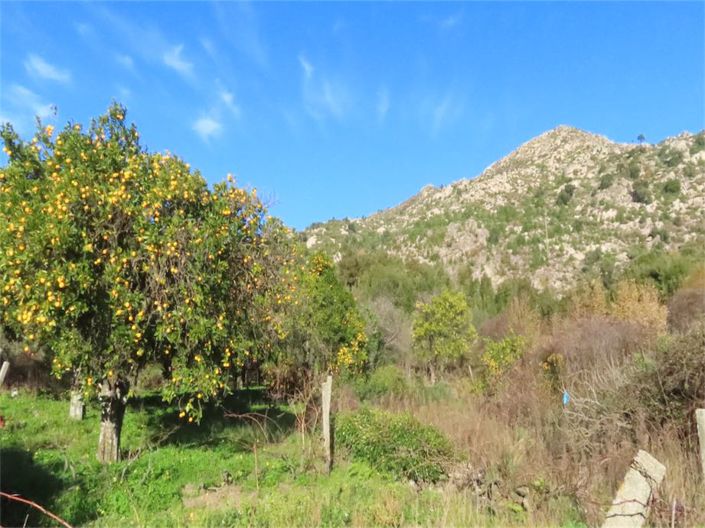 Image No.21-Property for sale