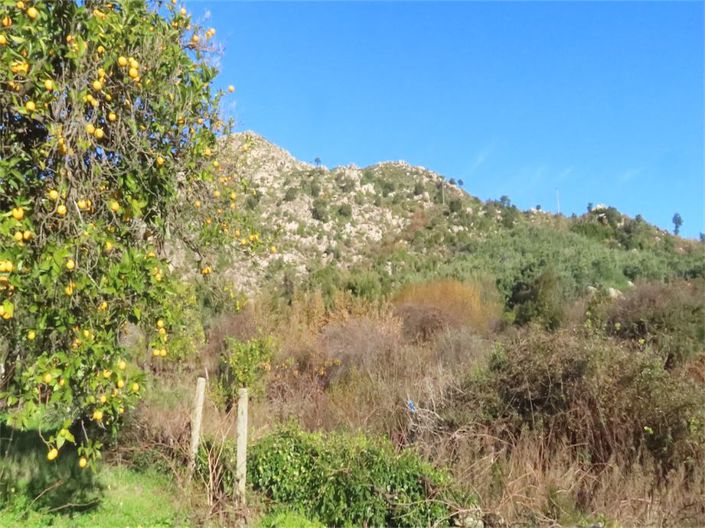 Image No.22-Property for sale