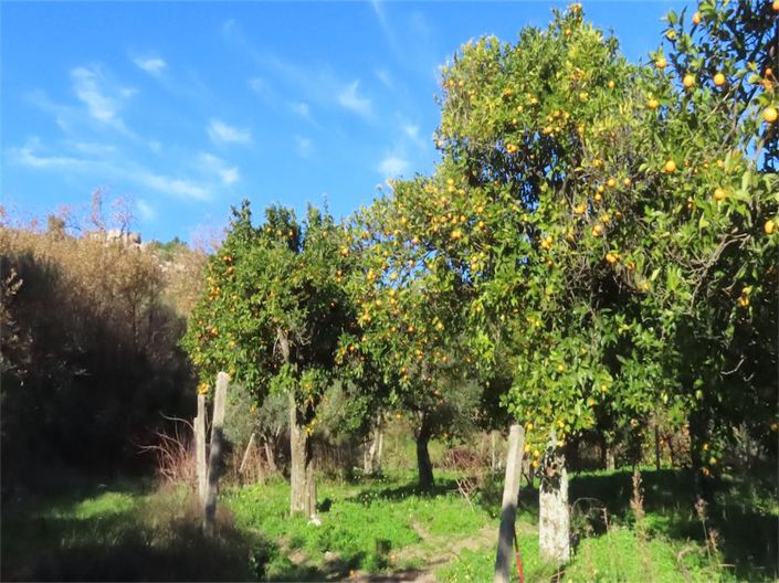 Image No.23-Property for sale