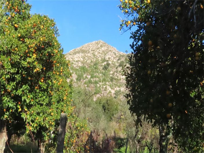 Image No.24-Property for sale