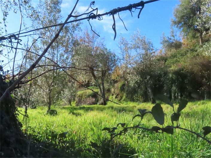 Image No.29-Property for sale