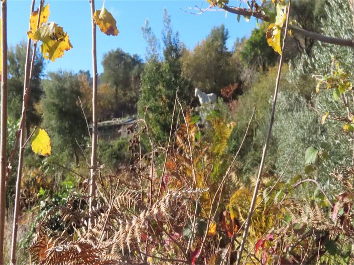 Image No.35-Property for sale