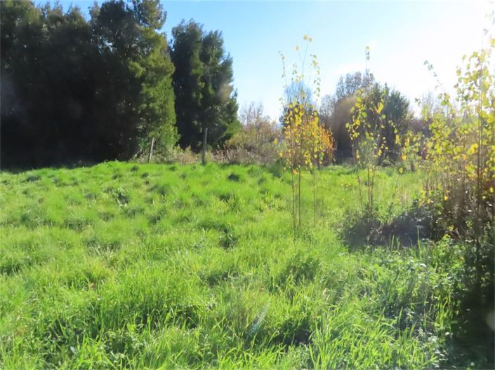 Image No.36-Property for sale