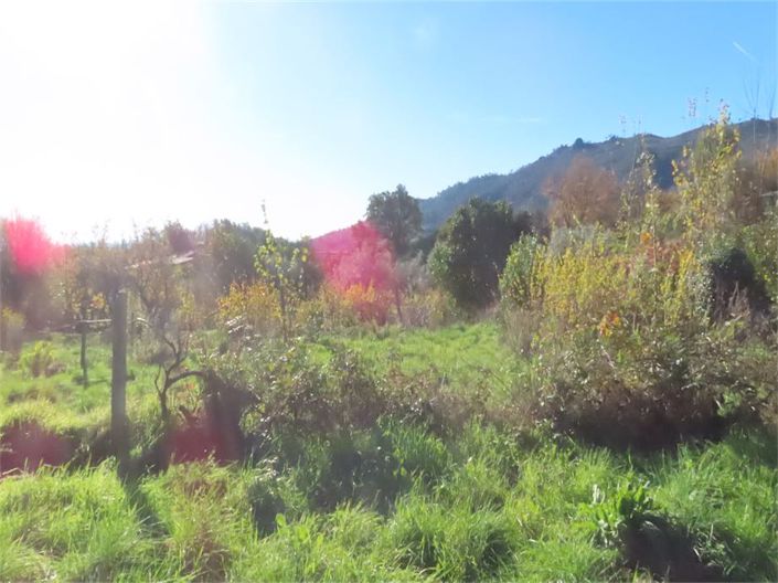 Image No.38-Property for sale