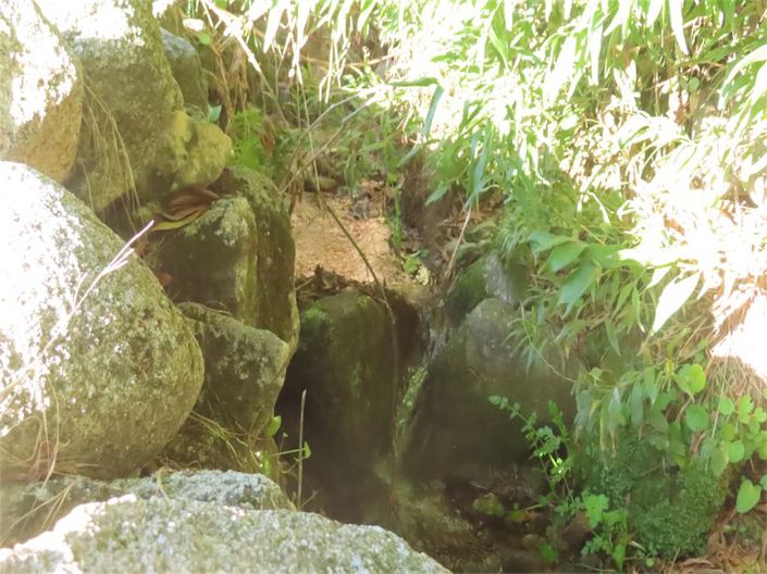 Image No.40-Property for sale