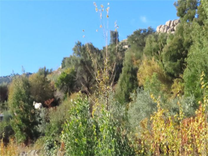 Image No.45-Property for sale