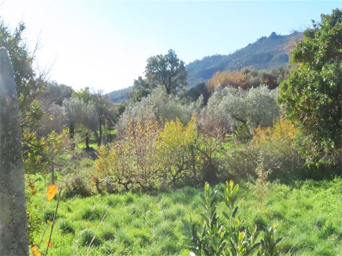 Image No.46-Property for sale