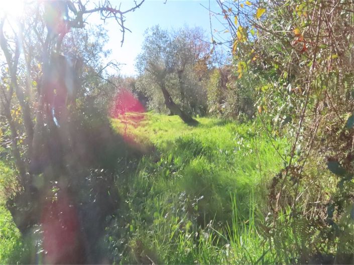 Image No.47-Property for sale