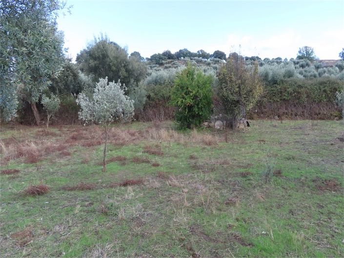 Image No.16-3 Bed Property for sale