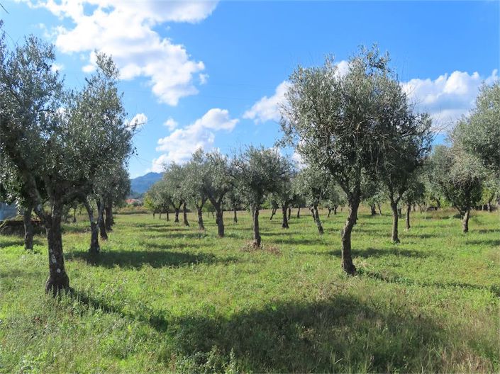 Image No.16-3 Bed Property for sale