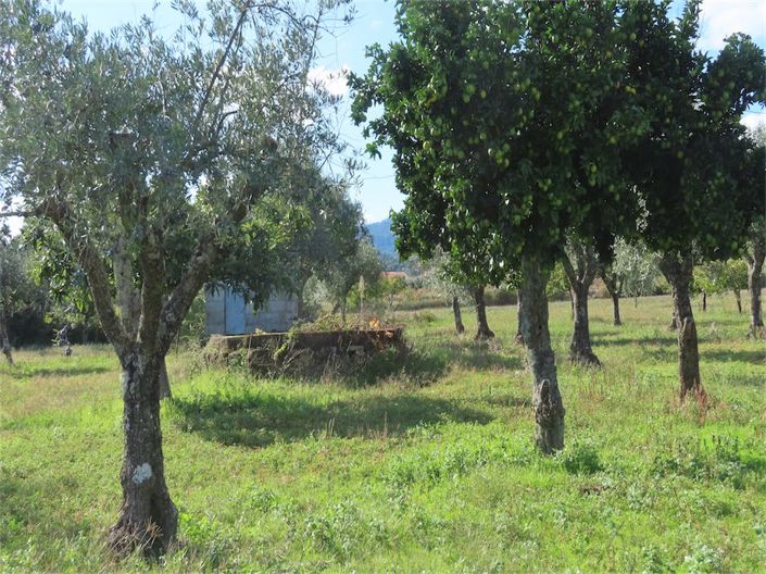 Image No.17-3 Bed Property for sale