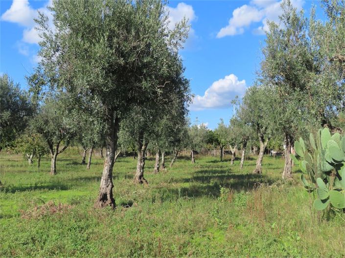 Image No.22-3 Bed Property for sale