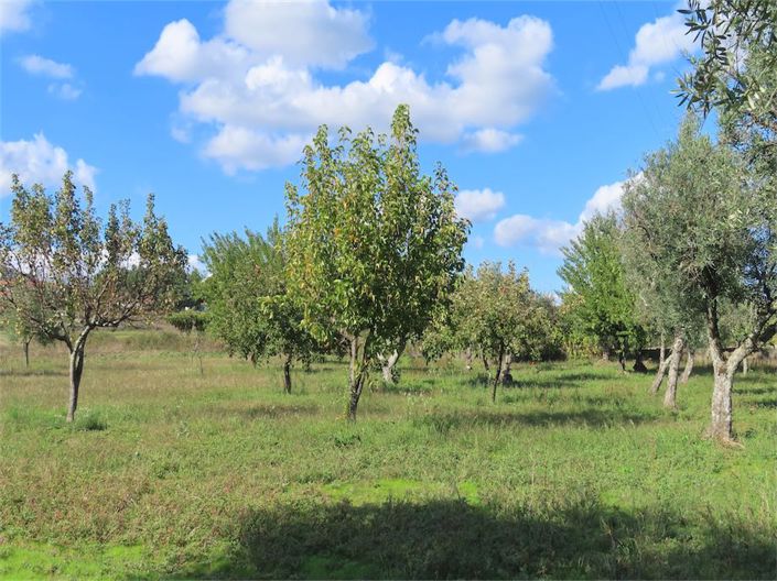 Image No.23-3 Bed Property for sale