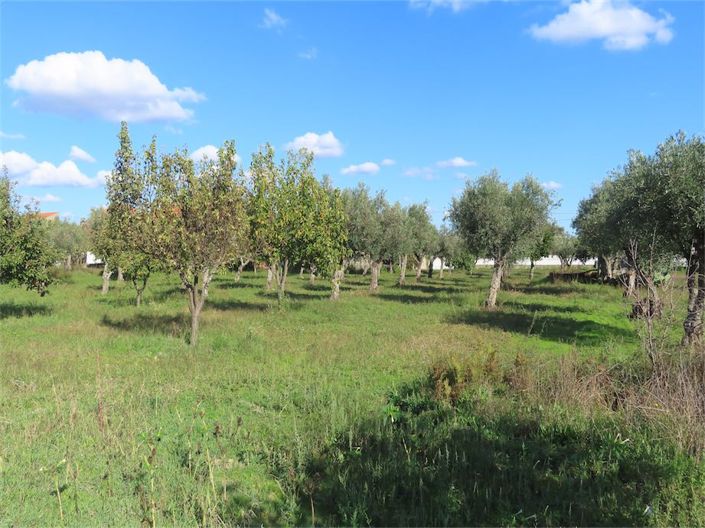 Image No.24-3 Bed Property for sale