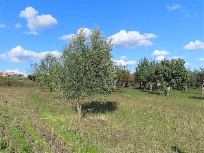 Image No.26-3 Bed Property for sale